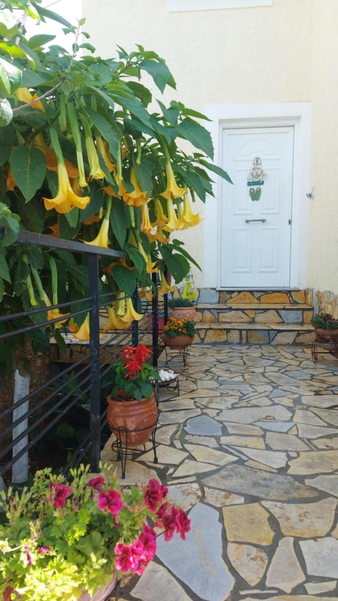 J&B Rooms Dhermi Exterior photo